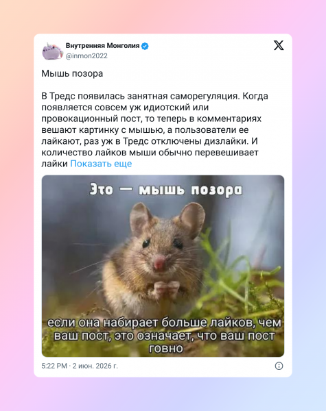 Старый мем в&nbsp;новой обёртке: как &laquo;мышь позора&raquo; захватила соцсети и&nbsp;стала функцией, которой всем не хватает