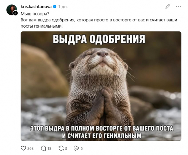 Старый мем в&nbsp;новой обёртке: как &laquo;мышь позора&raquo; захватила соцсети и&nbsp;стала функцией, которой всем не хватает