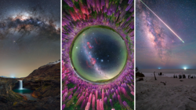 Photo of Фото — космос: 11 победителей конкурса Milky Way Photographer of the Year 2026