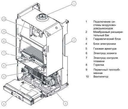 Установка газового котла Protherm: особенности и основные этапы монтажа + схемы подключения
