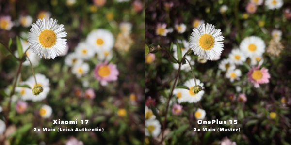 Что лучше &mdash; Xiaomi 17 или OnePlus 15