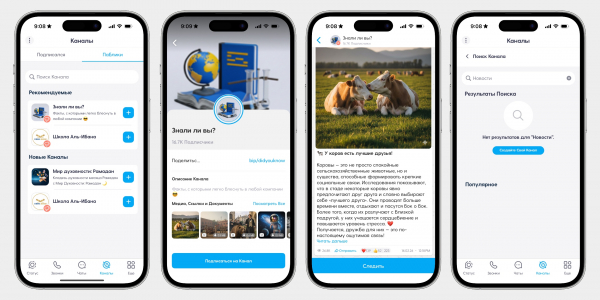 Мессенджер BiP: как пользоваться турецким аналогом Telegram и&nbsp;WhatsApp