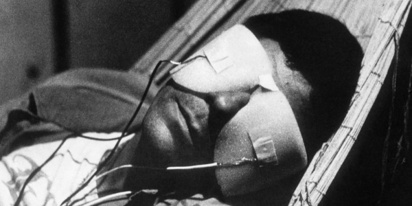 12 нишевых фильмов для тех, кому этот мир абсолютно понятен