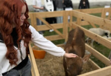 Photo of От станка до зарплаты: 7 необычных экскурсий, которые помогут школьнику понять, какую выбрать профессию