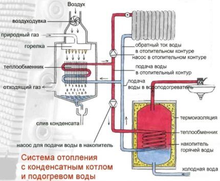 Как выбрать двухконтурный напольный газовый котел: на что смотреть перед покупкой? Как выбрать двухконтурный напольный газовый котел: на что смотреть перед покупкой?