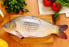 Photo of Рыба – важнейший продукт в рационе питания человека