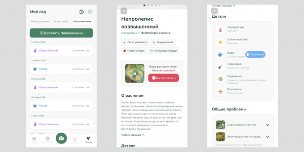 От подоконника до сада: 6&nbsp;полезных приложений для ухода за растениями