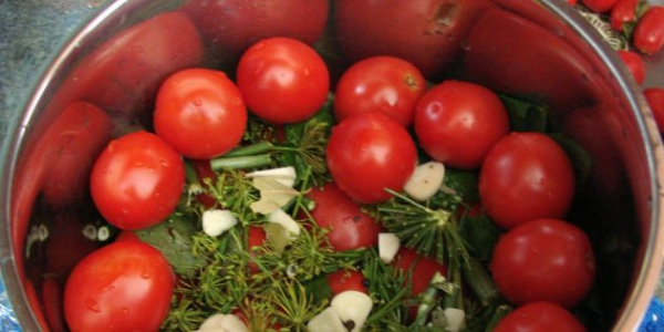 Как приготовить вкусные малосольные помидоры