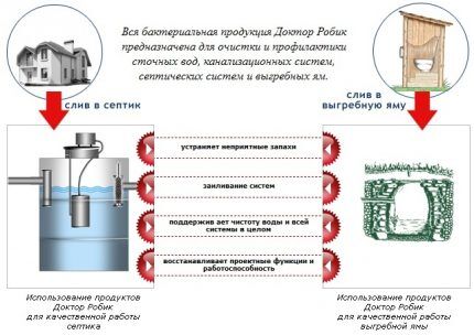 Бактерии для септиков &laquo;Доктор Робик&raquo;: советы при покупке и инструктаж по применению