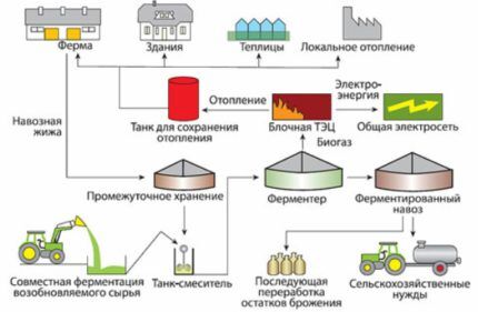 Как получить биогаз из навоза: обзор базовых принципов и устройства установки по производству