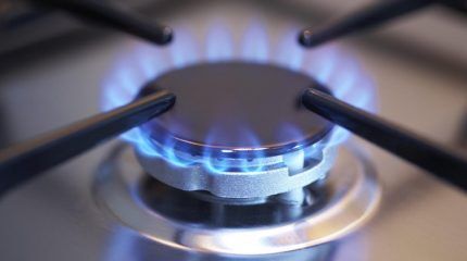 Воняет газом от плиты: причины появления запаха газа из духовки и от конфорок и советы по их устранению Воняет газом от плиты: причины появления запаха газа из духовки и от конфорок и советы по их устранению