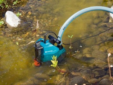Как подобрать хороший насос для полива огорода водой из пруда, бочки или водоема Как подобрать хороший насос для полива огорода водой из пруда, бочки или водоема