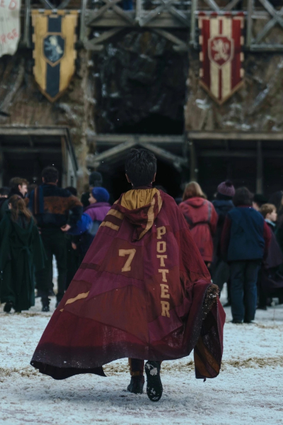 HBO показала новые гербы факультетов Хогвартса для сериала &laquo;Гарри Поттер&raquo; &mdash; фанаты недовольны