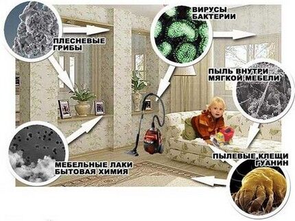 Какой выбрать очиститель воздуха для квартиры: классификация моделей и обзор лучших производителей