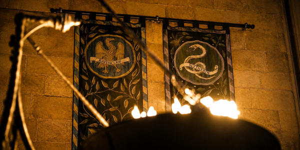 HBO показала новые гербы факультетов Хогвартса для сериала &laquo;Гарри Поттер&raquo; &mdash; фанаты недовольны