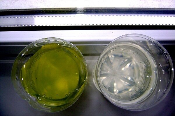 Коагулянт для очистки сточной воды: как выбрать + правила использования Коагулянт для очистки сточной воды: как выбрать + правила использования