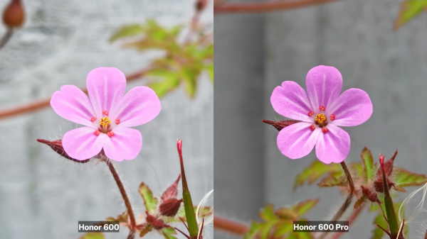 Что лучше &mdash; Honor 600 или Honor 600&nbsp;Pro