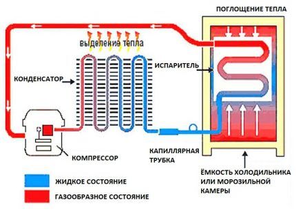 Компрессор для холодильника: обзор частых поломок + пошаговый инструктаж по замене Компрессор для холодильника: обзор частых поломок + пошаговый инструктаж по замене
