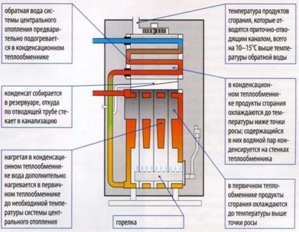 Настенные газовые котлы отопления: виды, как выбрать, обзор лучших моделей на рынке Настенные газовые котлы отопления: виды, как выбрать, обзор лучших моделей на рынке