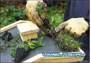 Кормушка для птиц своими руками