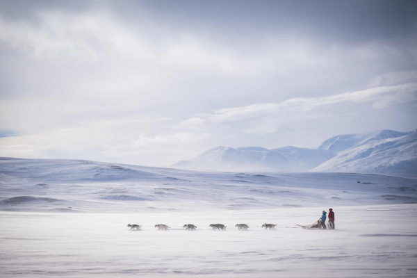 Дай лапу: 15 лучших кадров с фотоконкурса Dog Photography Awards 2026 Дай лапу: 15 лучших кадров с фотоконкурса Dog Photography Awards 2026
