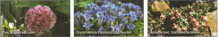 Как создать альпийские горки своими руками Как создать альпийские горки своими руками
