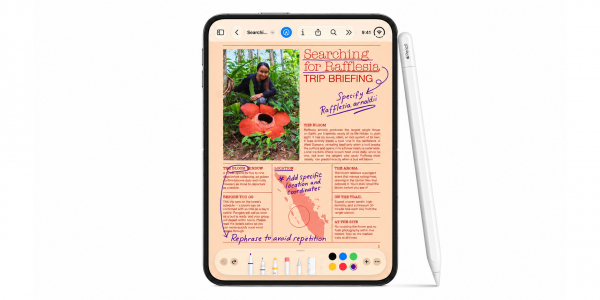 Какая раскладушка лучше — iPhone Duo или Samsung Galaxy Z Fold 8 Какая раскладушка лучше — iPhone Duo или Samsung Galaxy Z Fold 8