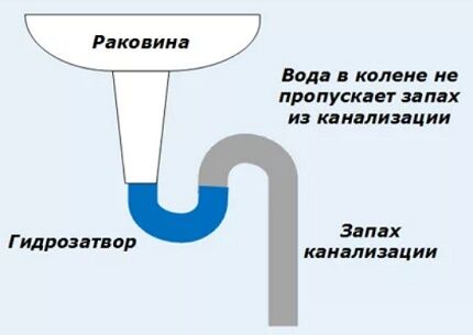 Сифон для мойки: конструкция, назначение, особенности монтажа своими руками