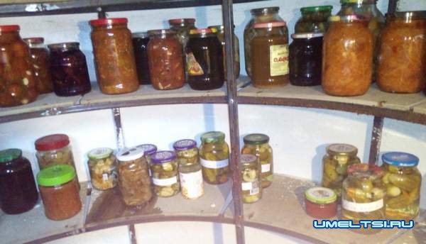 Как сделать погреб своими руками из бетонных колец на загородном участке Как сделать погреб своими руками из бетонных колец на загородном участке