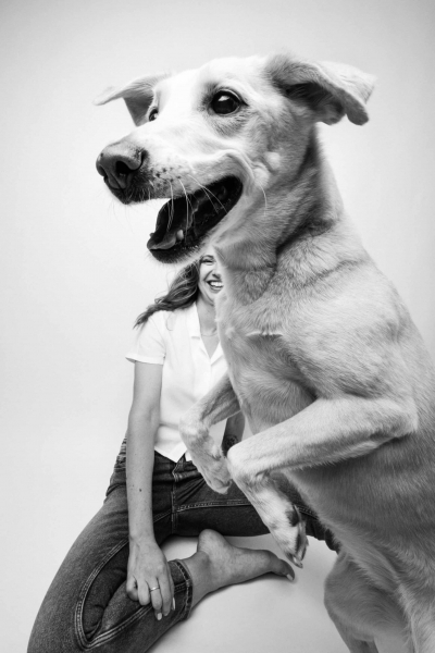 Дай лапу: 15 лучших кадров с фотоконкурса Dog Photography Awards 2026 Дай лапу: 15 лучших кадров с фотоконкурса Dog Photography Awards 2026