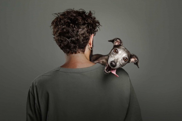 Дай лапу: 15 лучших кадров с фотоконкурса Dog Photography Awards 2026 Дай лапу: 15 лучших кадров с фотоконкурса Dog Photography Awards 2026