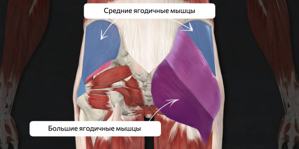 Как делать отведение ноги в кроссовере, чтобы накачать ягодицы Как делать отведение ноги в кроссовере, чтобы накачать ягодицы