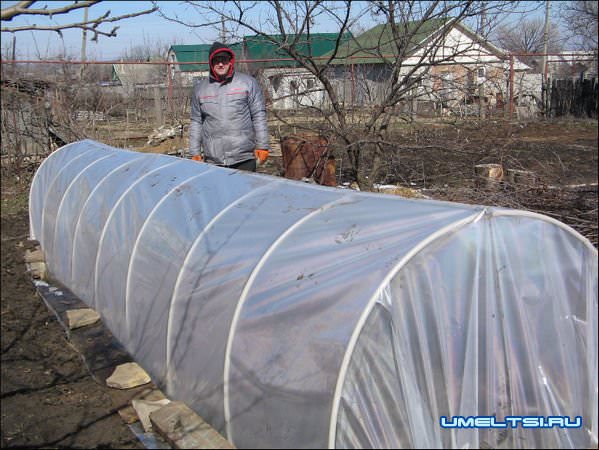 Парник из пластиковых труб Парник из пластиковых труб