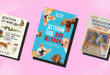 Photo of Не такие, как мы думали: 5 книг о животных, которые вас удивят