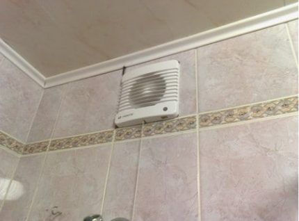 Как убрать грибок в ванной: лучшие народные и профессиональные способы