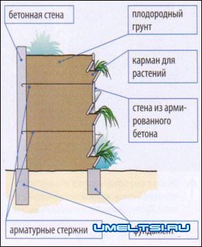Висячие сады своими руками