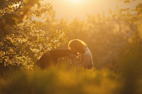 Дай лапу: 15 лучших кадров с фотоконкурса Dog Photography Awards 2026 Дай лапу: 15 лучших кадров с фотоконкурса Dog Photography Awards 2026
