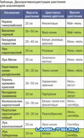 Как создать альпийские горки своими руками Как создать альпийские горки своими руками