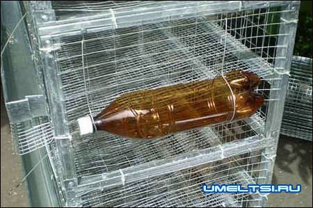 Клетки для перепелов своими руками: инструкция по изготовлению