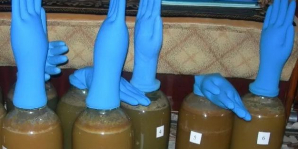Как сделать яблочный сидр в&nbsp;домашних условиях