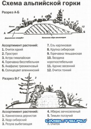 Как создать альпийские горки своими руками Как создать альпийские горки своими руками
