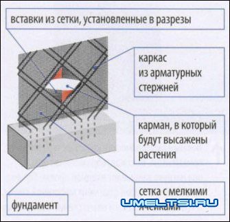 Висячие сады своими руками