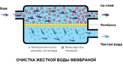 Фильтр очистки воды для дачи: советы по выбору + обзор лучших брендов Фильтр очистки воды для дачи: советы по выбору + обзор лучших брендов