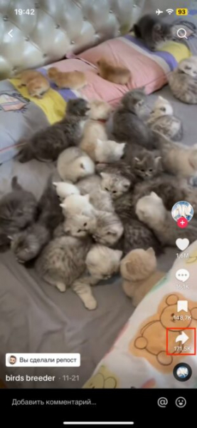 Можно ли скрыть репосты в&nbsp;TikTok
